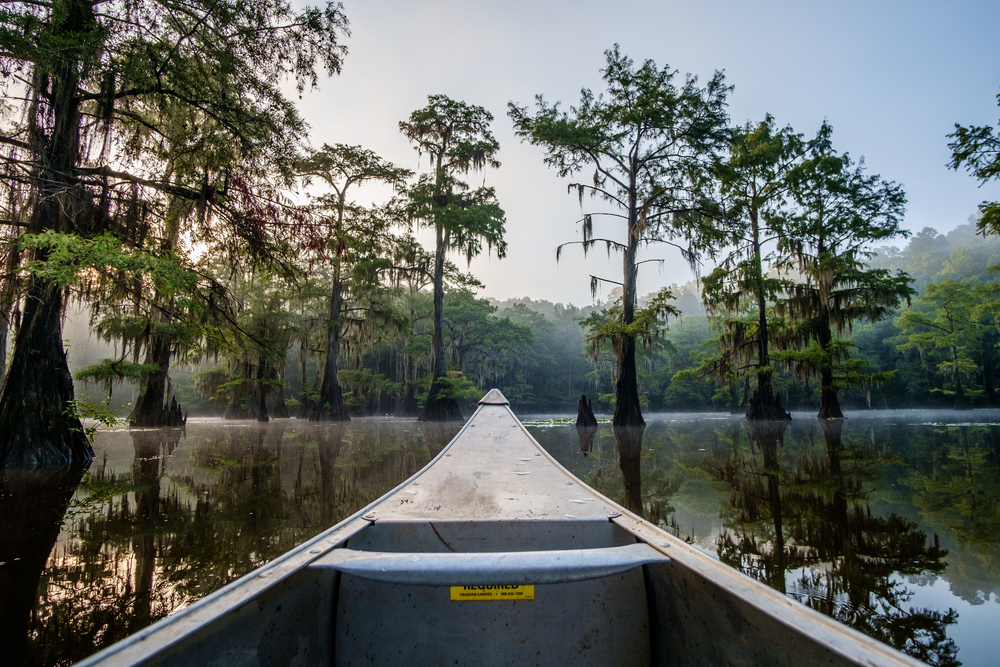 Canoe in foreground on a lake in texas filled with towering cypress trees 