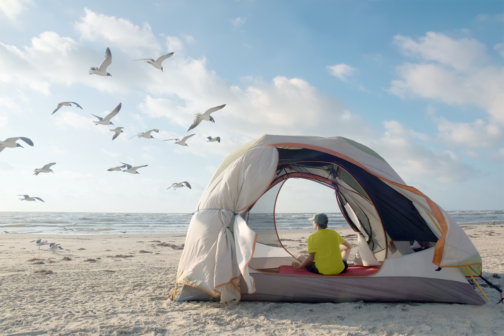 person sitting inside a tent pitched on a beach while seagulls fly away