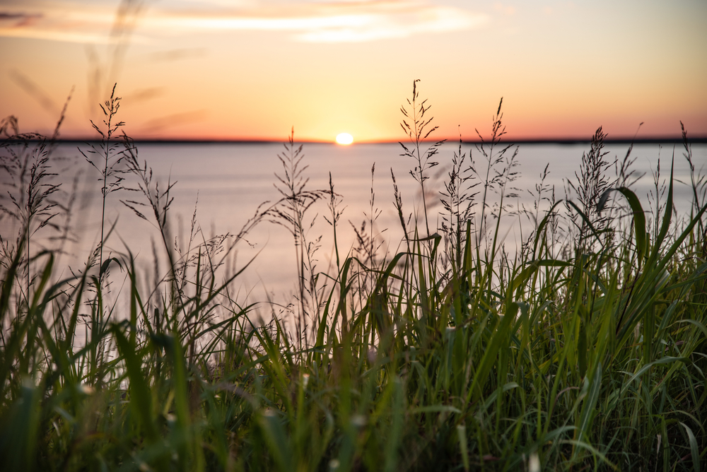 long grass in front of the water as the sun sets things to do in waco
