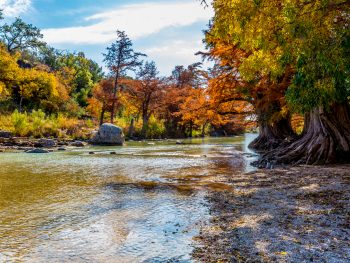 hiking in San Antonio with beautiful trees and foliage at the Guadalupe River State Park
