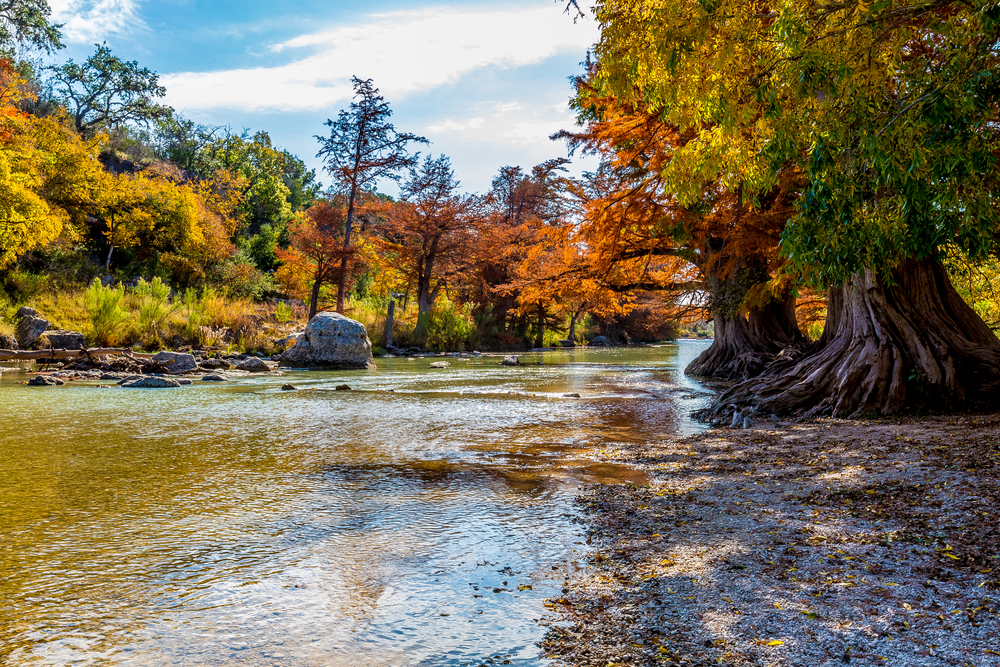hiking in San Antonio with beautiful trees and foliage at the Guadalupe River State Park