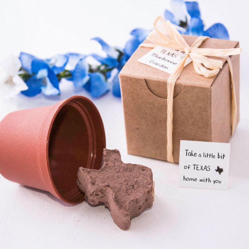 a pot with seed and a wrapped gift texas gifts