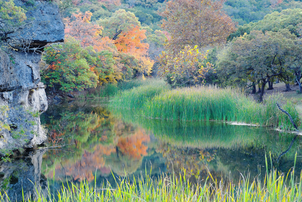 pond with autumn foliage surrounding it