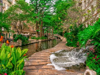 The beautiful lush Riverwalk with greenery and a small waterfall