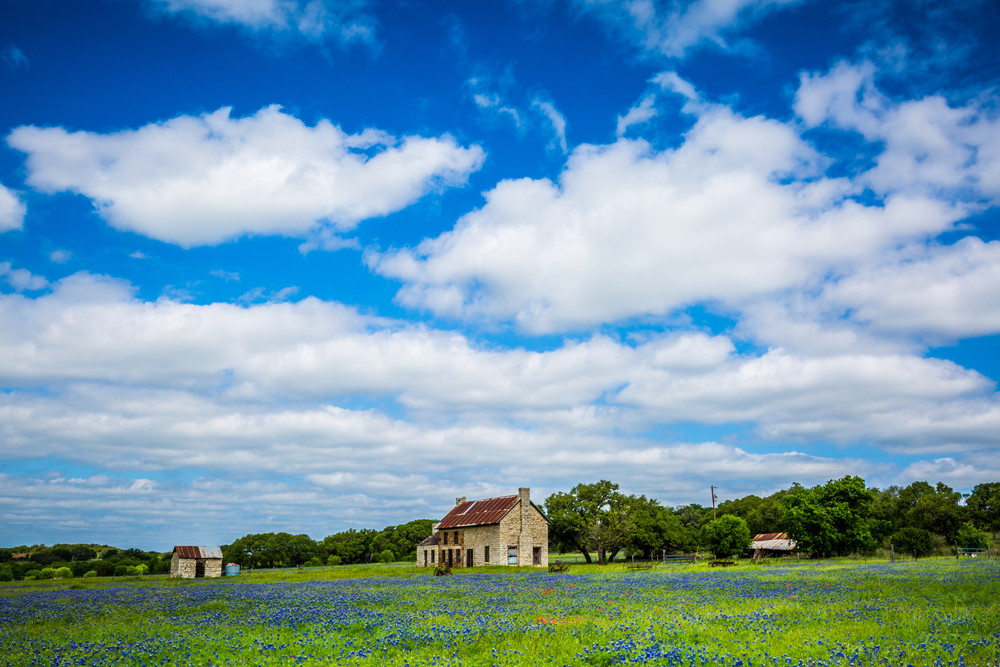 Abandoned two-story limestone house sits in fields of bluebonnets in Marble Falls