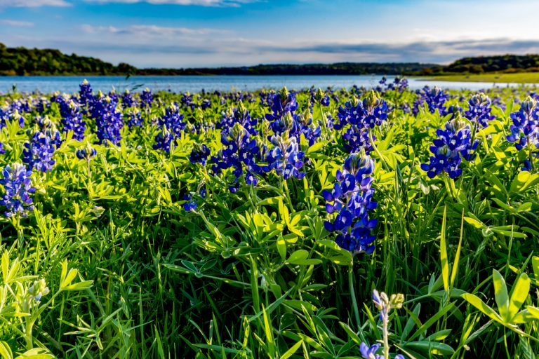 15 Best Things To Do in Lake Travis TX You Shouldn’t Miss Texas