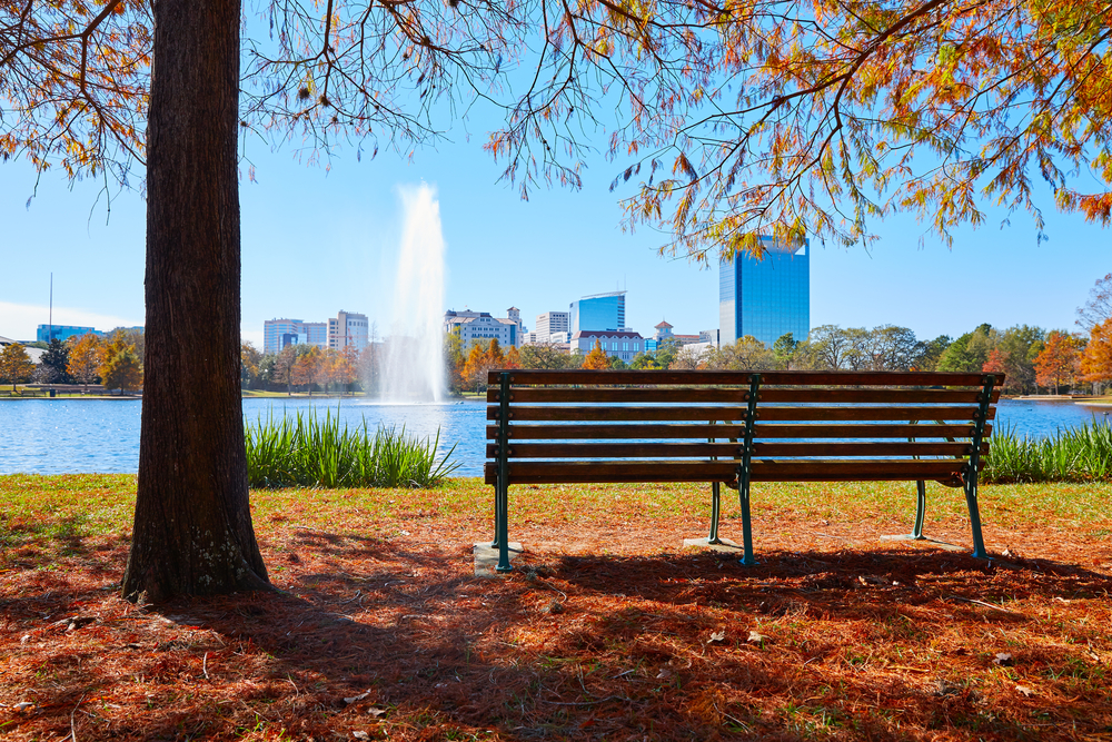 bench in a park beside a lake 