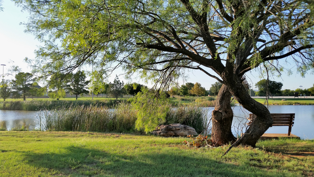large pond with trees and a sitting bench things to do in wichita falls