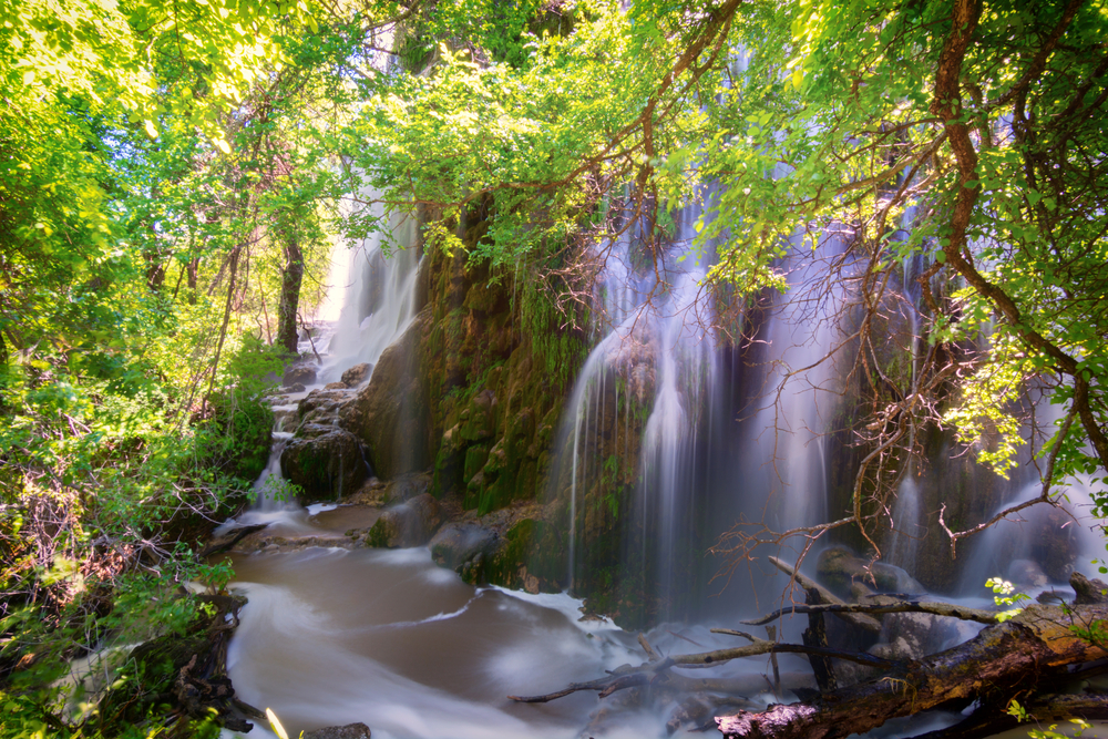 Gorman Falls surrounded by greenery.