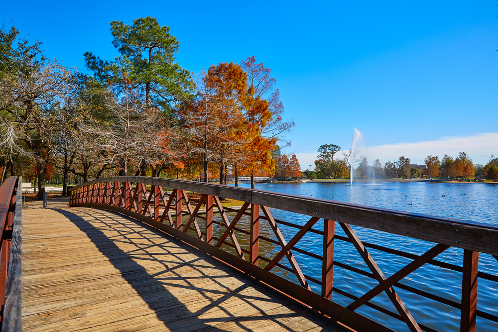 A nice wooden bridge on a sunny day with fall colors all around