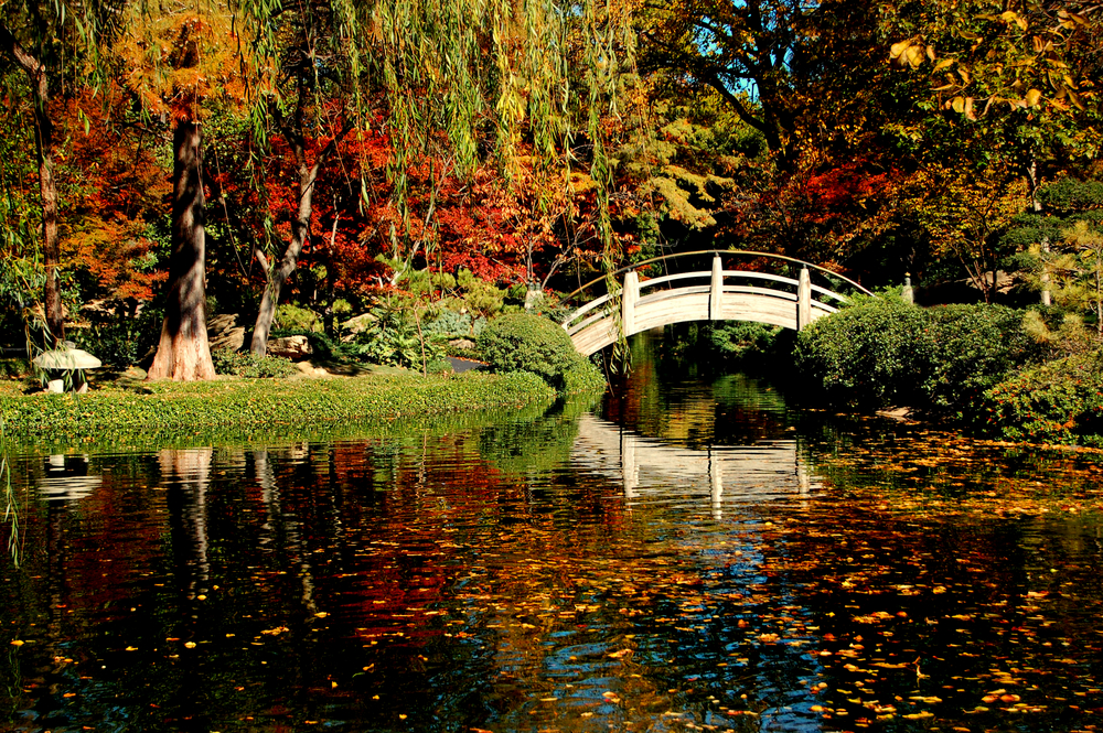 Fall colors with a cute small bridge at sunset 