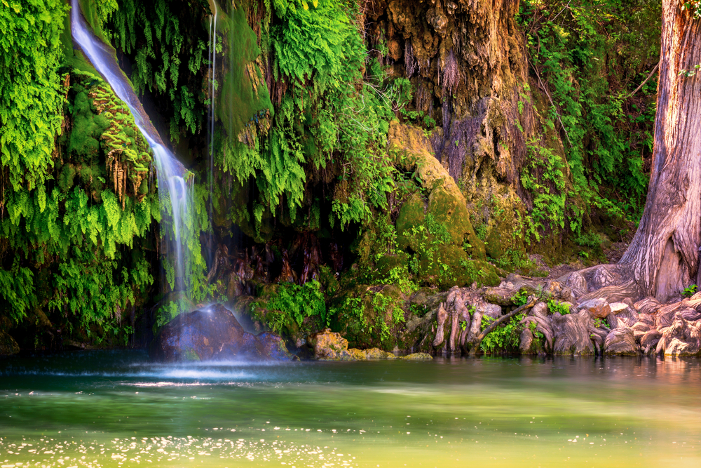 Waterfall running into Krause Springs, surrounded by trees.