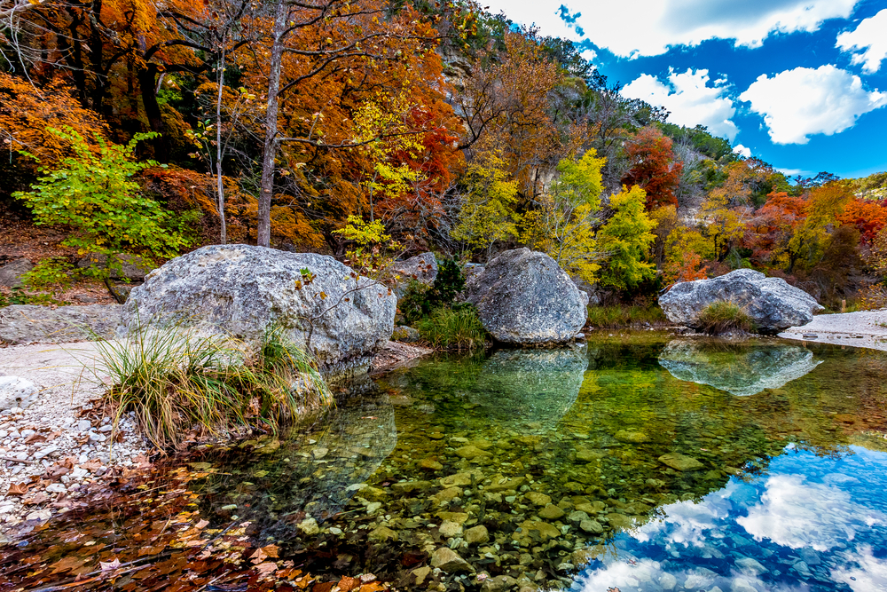 Fall colors at Lost Maples State Park on a sunny day with a river and 3 large boulders in the foreground