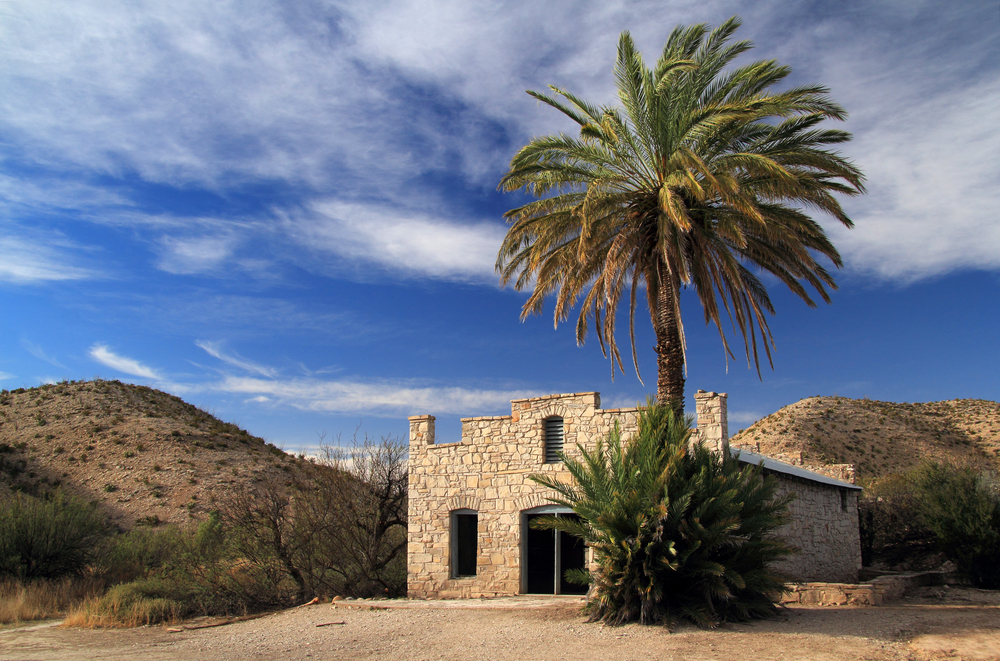 stone structure with palm tree in a desert landscape