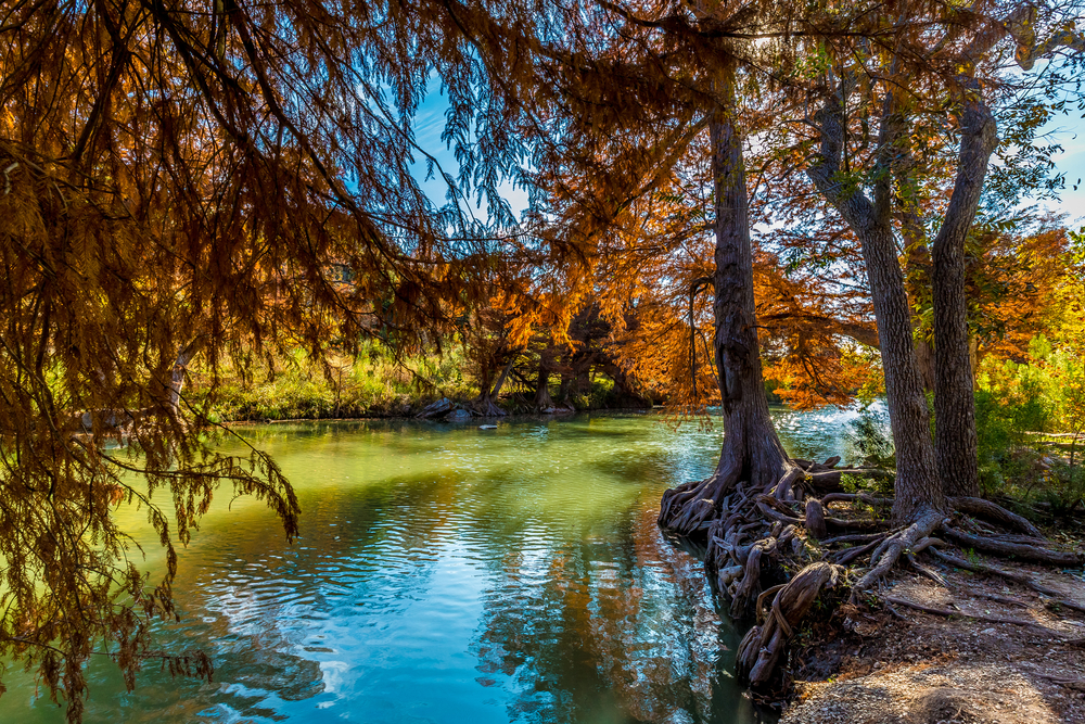 photo of trees and fall foliage at Nichol's Landing Paddle Trail on your texas road trip