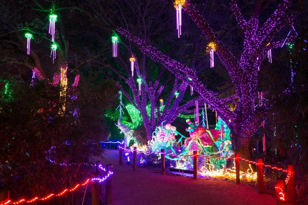 A photo from the Houston Zoo decorated in colorful lights. Glowing displays of jellyfish hanging from trees light up a path.