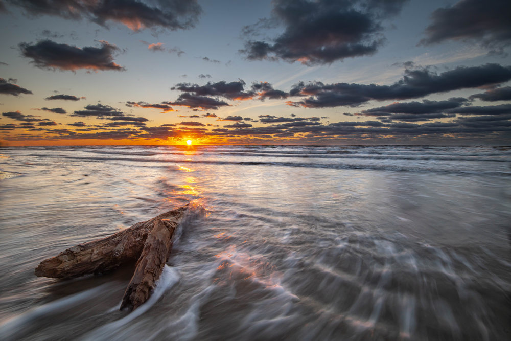 The sea with the sunset in the background and some driftwood in the foregeound