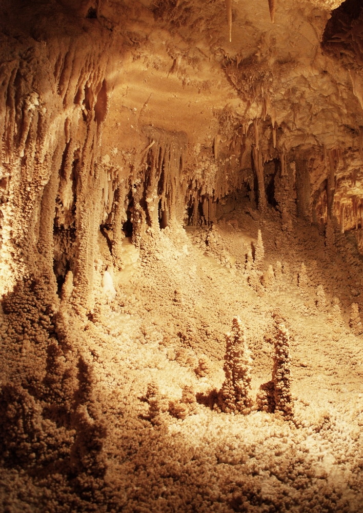 Sand colored rock formations inside a cavern in Texas. The formations seem to be growing up from the ground and down from the cave ceiling. They have an interesting texture, almost like coral or popcorn. 