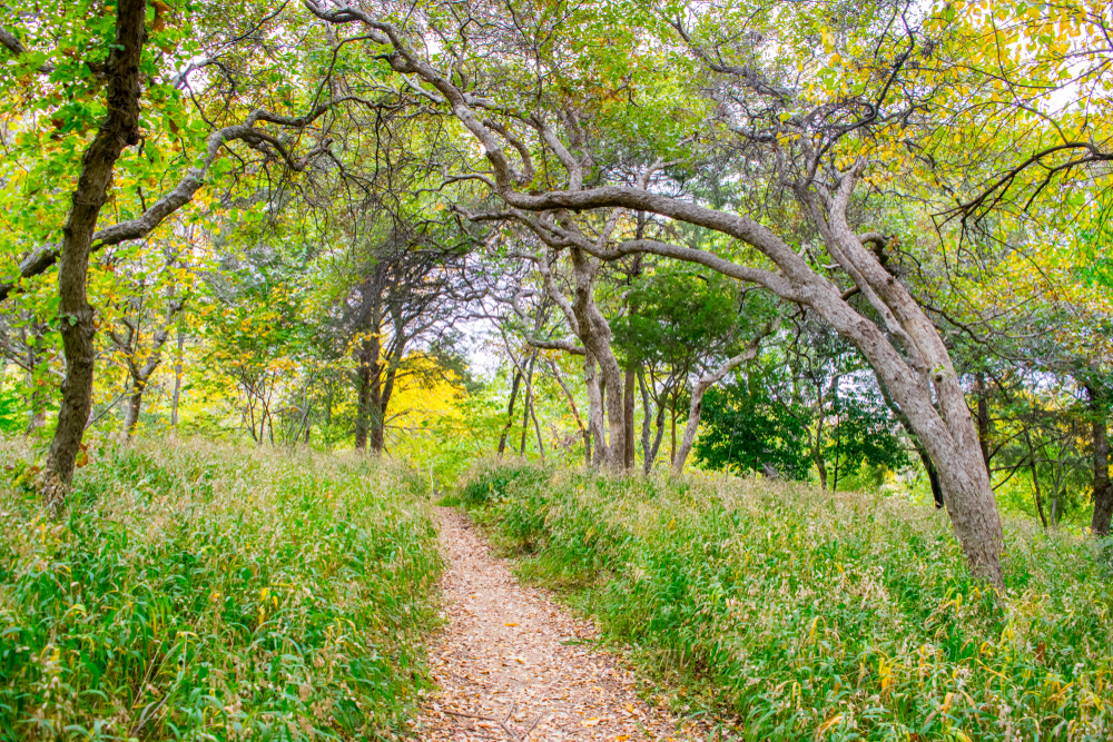 cedar hills one of the best day trips from dallas