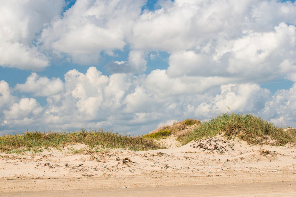 An isolated beach with small dunes with grass on