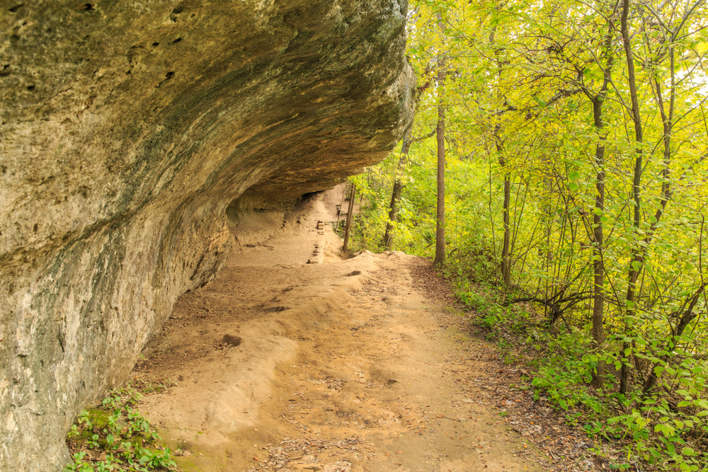 A rock outcrop hanging over with trees in the foreground.