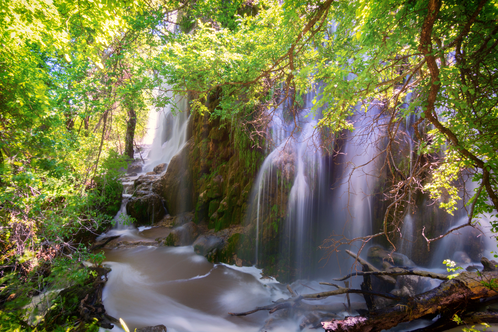 A flowing waterfall in the woods named Gorman Falls on a sunny day
