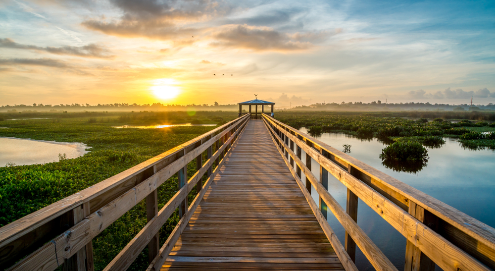 Wooden boardwalk over wetlands in Beaumont at sunset one of the best places to see in East Texas.