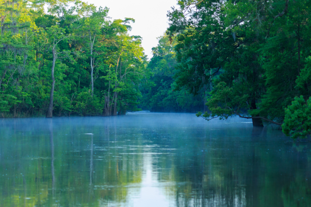 A wide river with tall trees on either side in Big Thicket Nature Preserve.