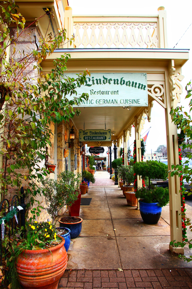 Plants in pots lining the sidewalk leading up to Lindenbaum restaurant.