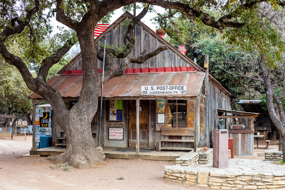 A big tree in front of the old Luckenbach trading post.