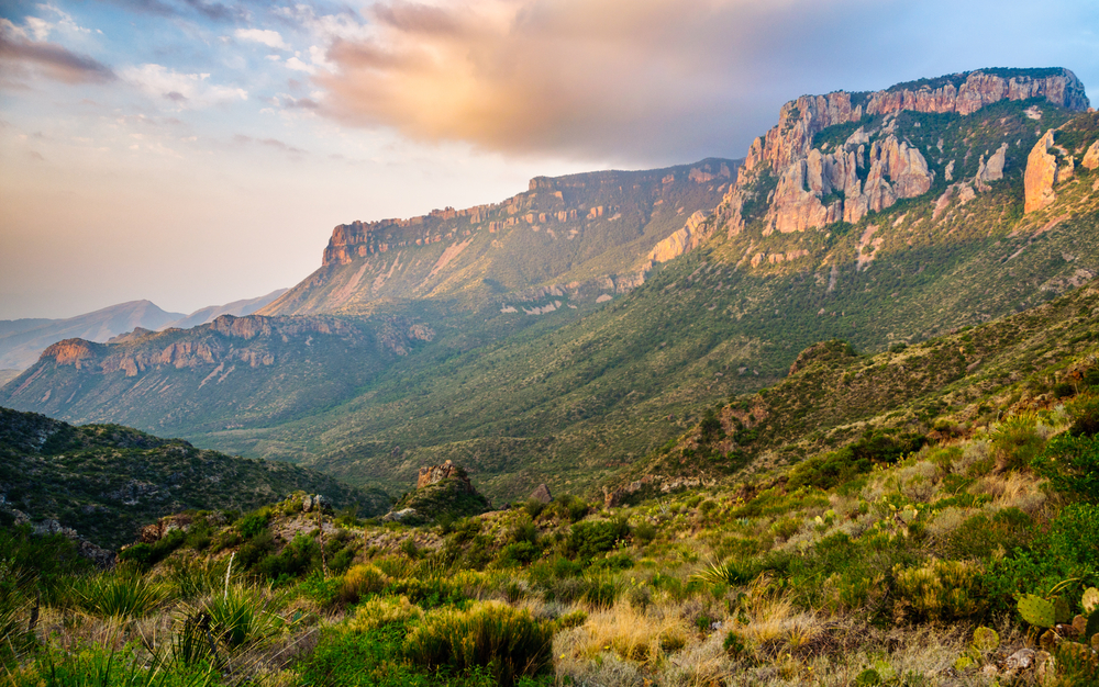 photo of the view at Big Bend National Park 