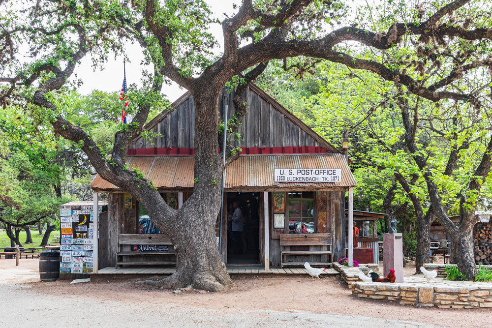 an old wood building with a large tree in front and some roosters