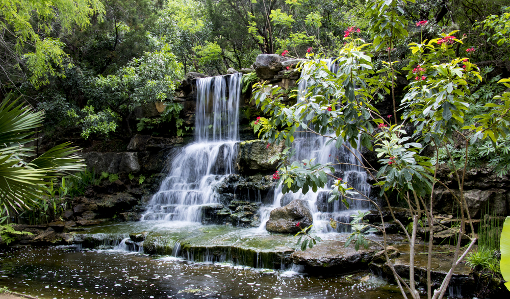 one of the most beautiful things to do in Texas Hill Country. Cascading waterfalls flowing into a stream with a flowering tree nearby