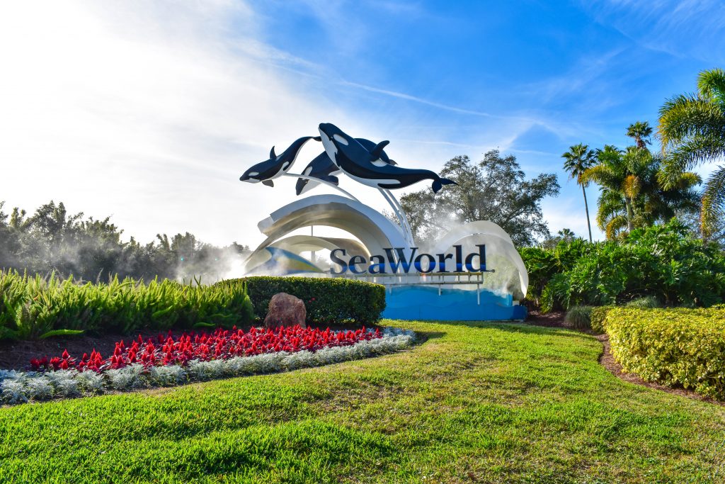 Sea world logo for amusement parks in Texas with three killer whales surrounded by green grass and flowers. 