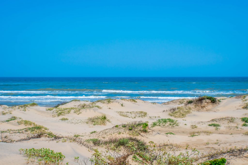 sandy dunes and the ocean on South Padre Island beach with blue skies on a sunny day