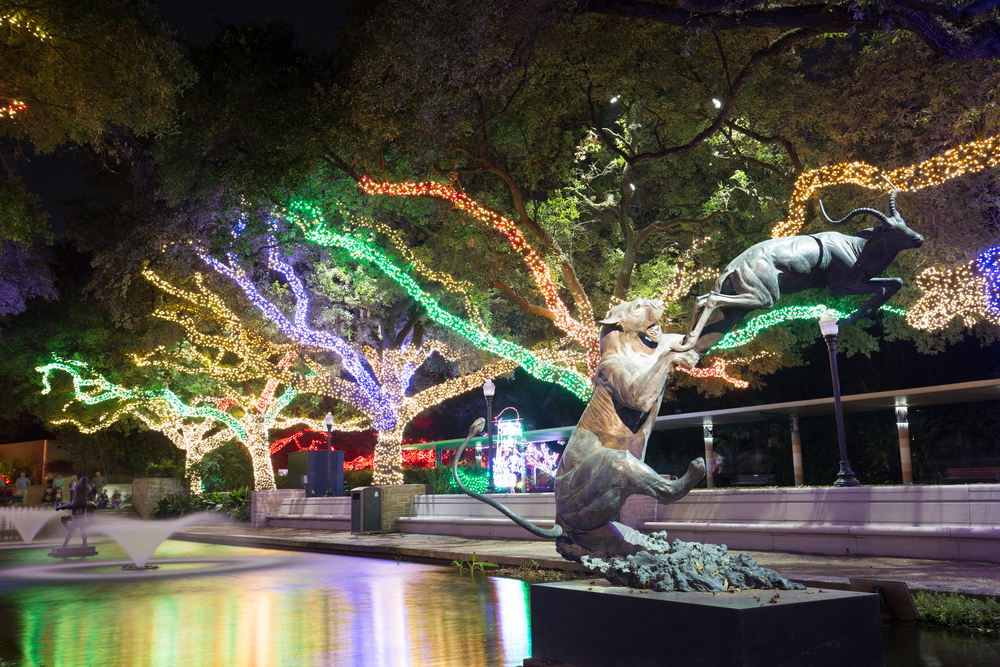 The Houston Zoo decorates their walk ways and trees with Christmas lights.