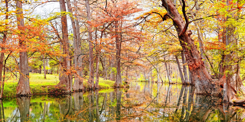 spring surrounded by orange and yellow fall colored trees one of the best day trips from Austin