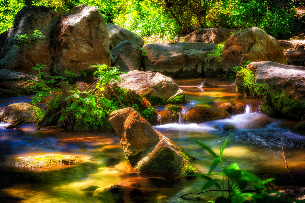 river flowing through rocks and plants with a lot of light shining down