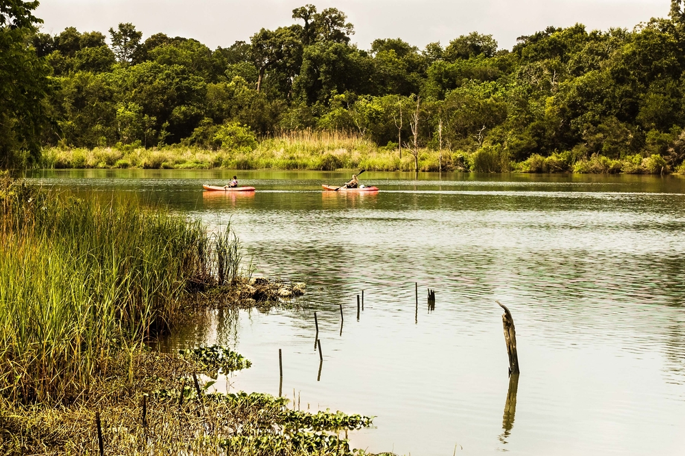 Two people enjoying the lush Armand Bayou while kayaking in Texas