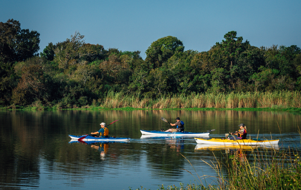 Three kayakers in blue and yellow kayaks paddling on the Armand Bayou near Pasadena, TX.