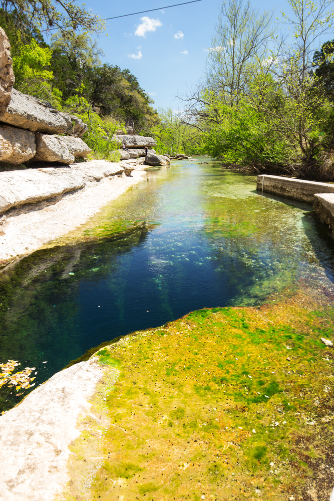 Spring running between trees ending at a deep well of blue water at Jacob's Well one of the prettiest swimming holes in Texas.