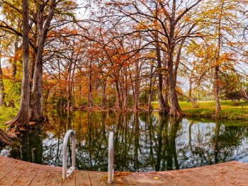 A slight fish-eye view of the Blue Hole swimming hole, one of the best things to do in Wimberley. You can see a wooden dock, the handles or a silver ladder going into the water, and lots of trees surrounding the swimming hole.