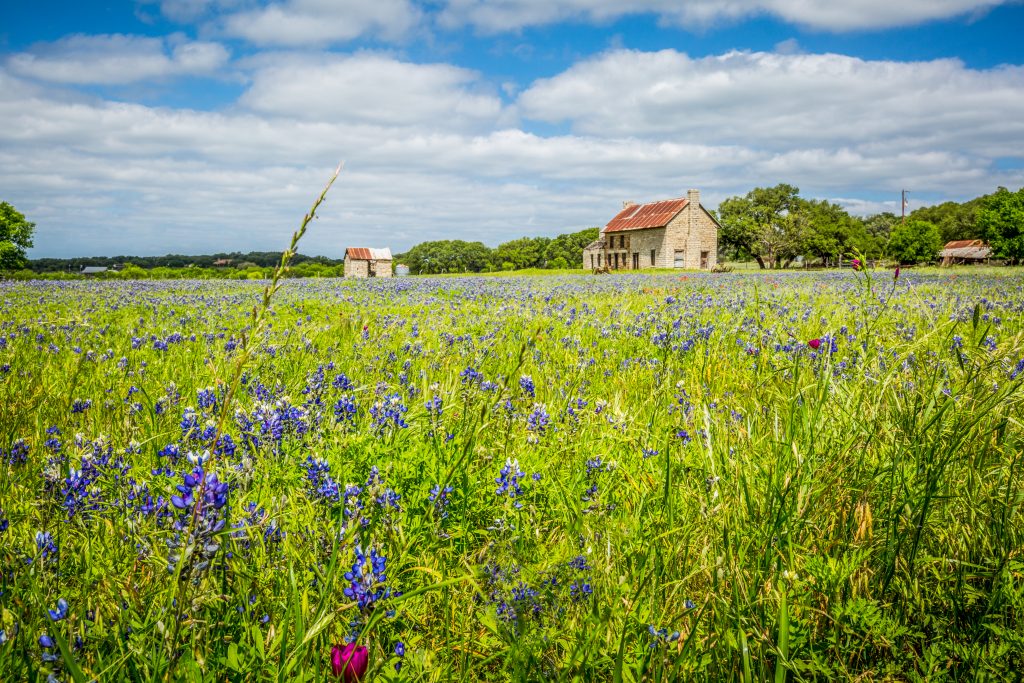 The Bluebonnet House is surrounded by fields of wildflower.