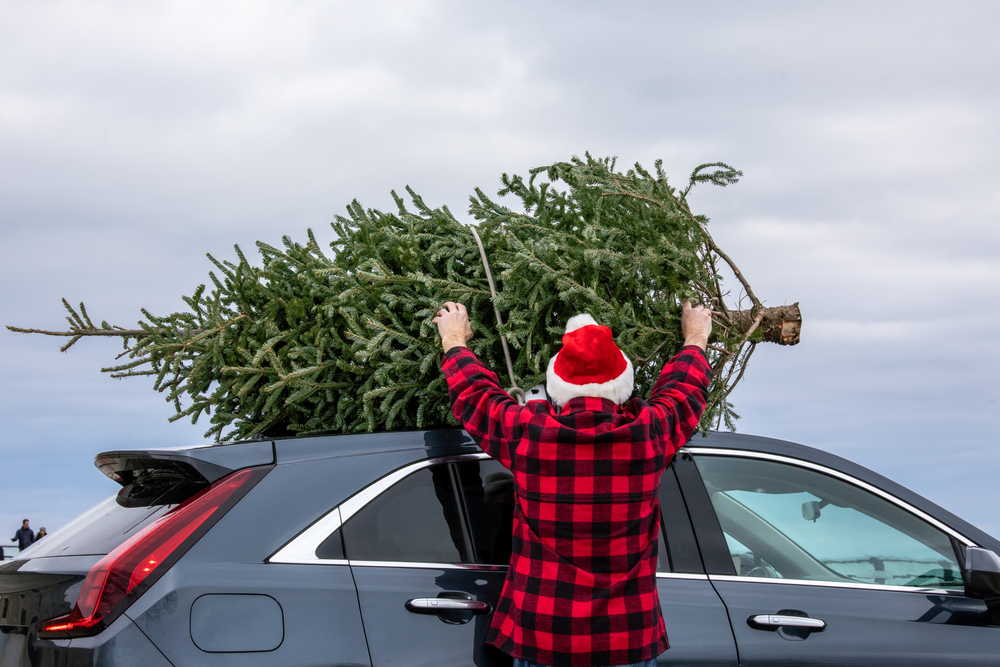 A man loads a Christmas tree on top of his car.