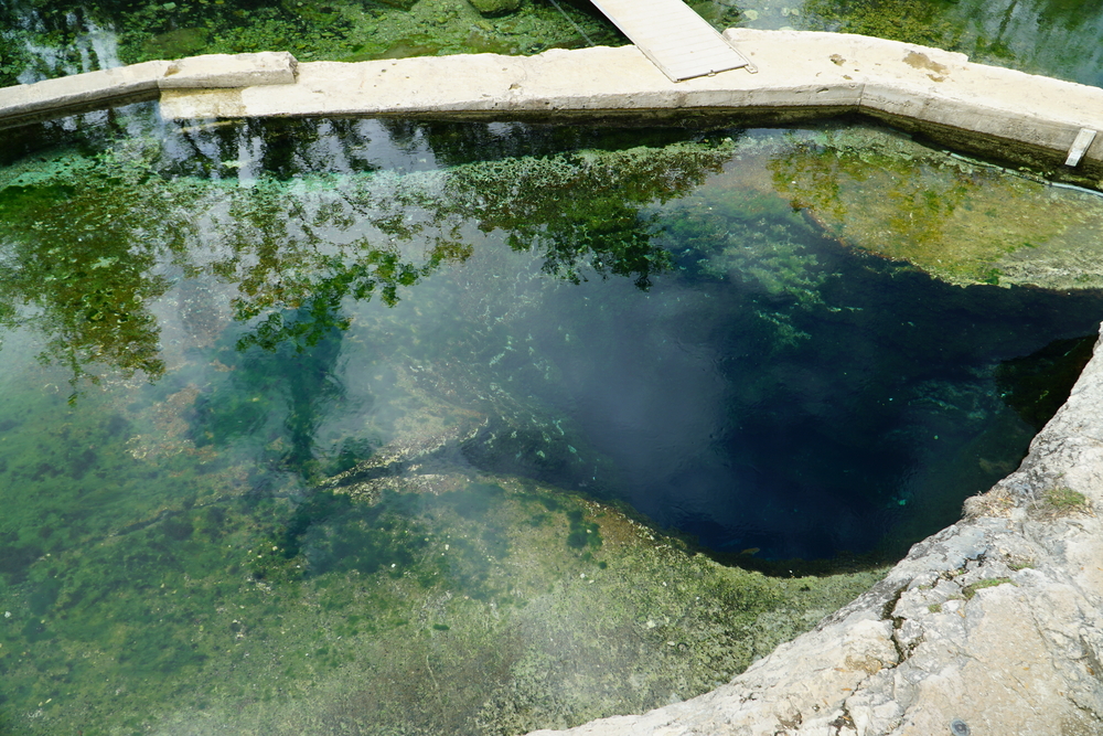 Jacob's Well if famous for swimming and its limestone rock which you see in this picture. 