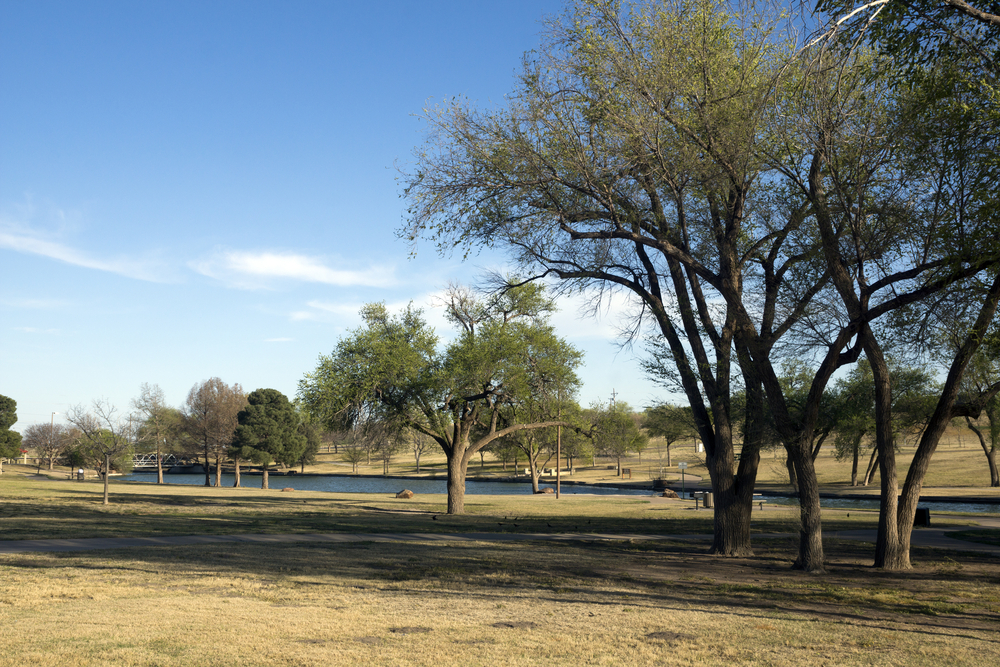 A lake in Lubbock Texas. There is a grassy lawn and trees.