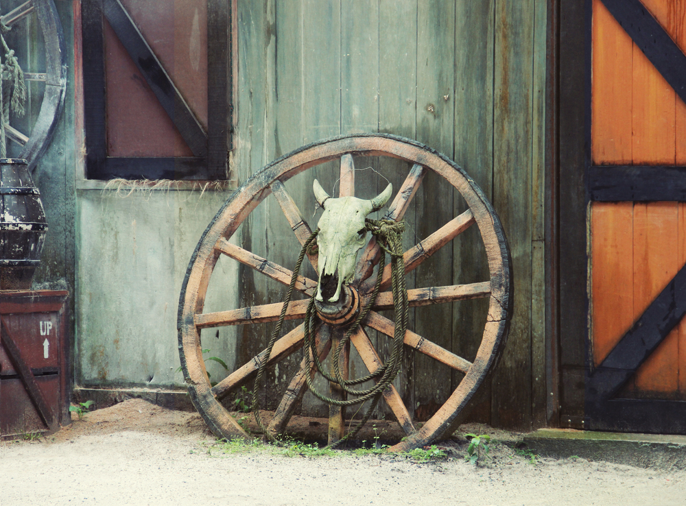An old wagon wheel with a cow skull resting on it. It is leaning up against an old building like one you'd find in the Pioneer Town, one of the fun things to do in Wimberley. 