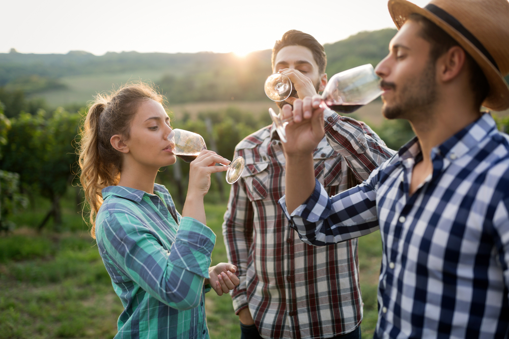 Three people sipping wine from glasses. They are standing in a vineyard and the sun is starting to set behind them. There are two men and one woman all facing each other as they enjoy the wine. 