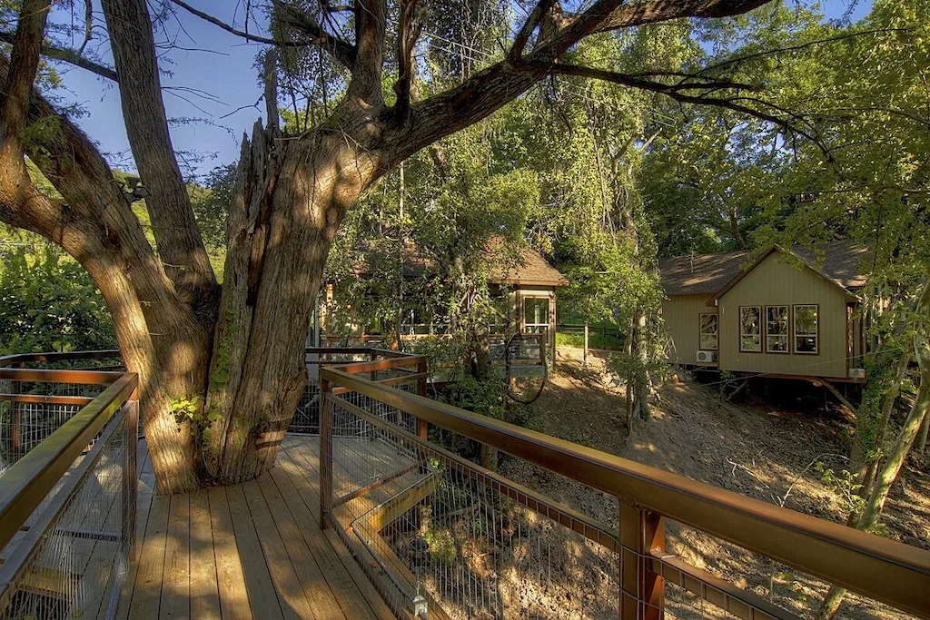 Boardwalk leads to a large tree with cabins in the background 