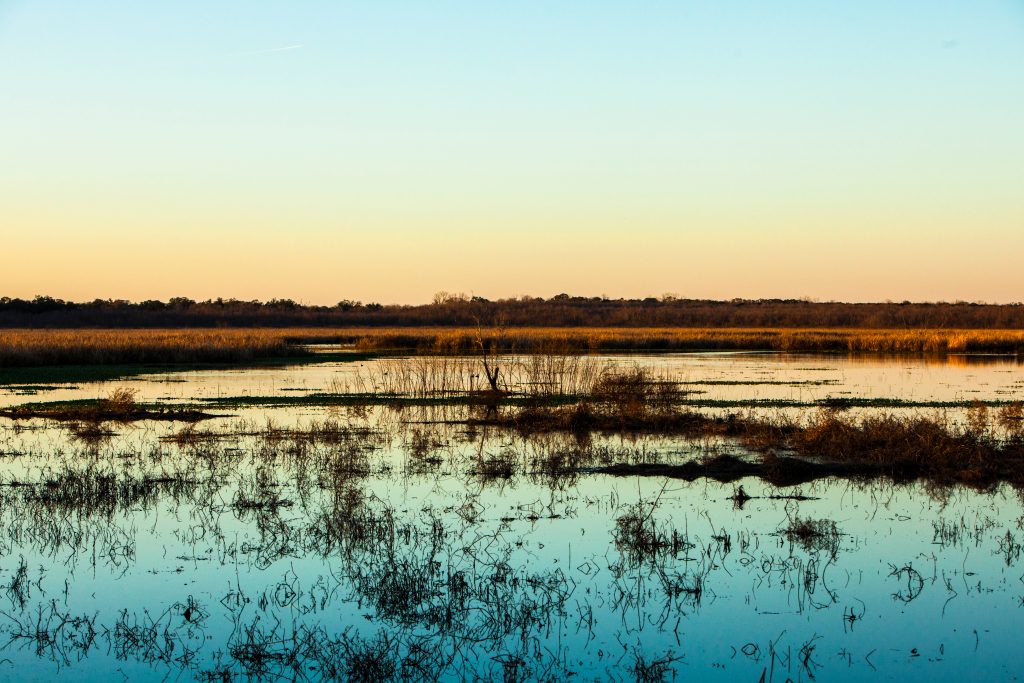 Beautiful sunset over marshlands on one of the prettiest islands in Texas